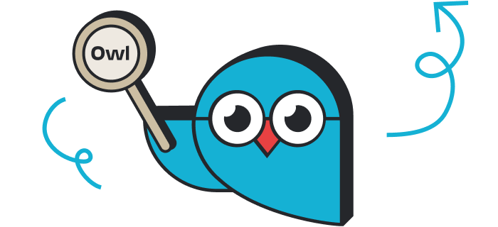 Search Owl Illustration